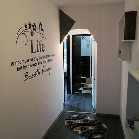 White Black Rooms Hunedoara Dış mekan fotoğraf